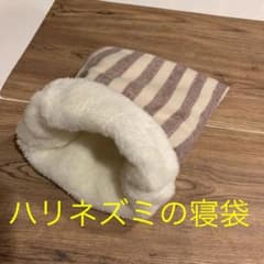 ハリネズミの寝袋です。のサムネイル