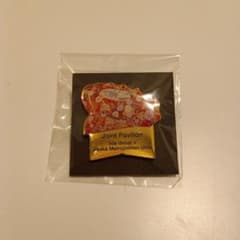 飯田グループ万博 ピンバッジのサムネイル