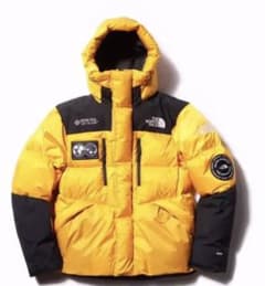 THE NORTH FACE 7SE HIMALAYAN PARKA GTXのサムネイル