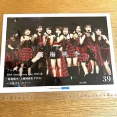 アンジュルム 桜梅桃李 ピンナップポスター ピンポス 集合 39 - メルカリ