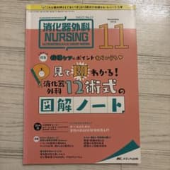 消化器外科ナーシング 2018年11月号のサムネイル