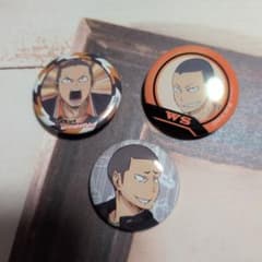 ハイキュー!! 田中 缶バッジ セット 田中龍之介 田中 - メルカリ
