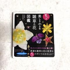 もっと美しき小さな雑草の花図鑑のサムネイル