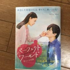 小説 パーフェクトワールド 君といる奇跡/有沢 ゆう希, 有賀 リエのサムネイル