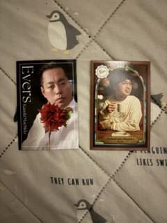 요시모토 코레카 에버스 세트