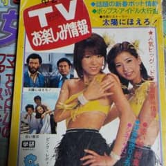 中学二年コース付録、ピンクレディー、太陽にほえろ、山口百恵、世良公則、チャーのサムネイル