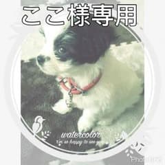 コサージュのサムネイル