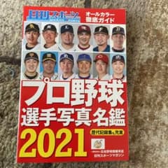 日刊スポーツ　プロ野球選手名鑑　2021のサムネイル