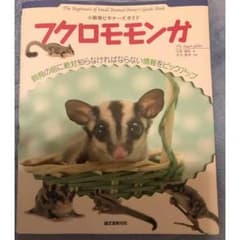 ＊なちゅ様専用＊クロモモンガ 小動物ビギナーズガイドのサムネイル