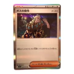ボスの指令  ゲーチス　Rのサムネイル