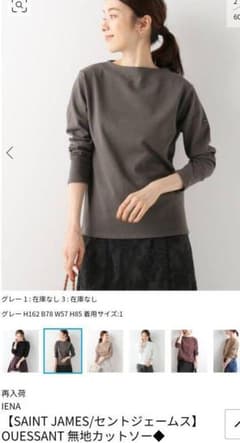 セントジェームス　グレー　サイズ3のサムネイル