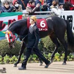 専用のサムネイル