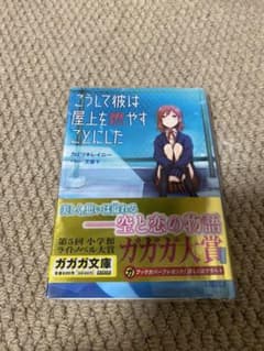 こうして彼は屋上を燃やすことにしたのサムネイル