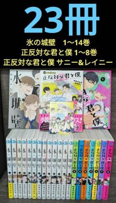 23冊】氷の城壁 正反対な君と僕 正反対な君と僕 サニー&レイニー
