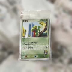 d*7様 ポケモンカード キモリ PROMO PCG-Pプロモカード 037/P - メルカリ