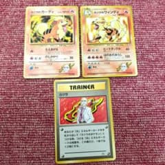 旧裏】カツラのウィンディ・ガーディ・カツラ 3枚セット☆ポケモン