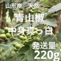 中身真っ白‼️天然　青山椒　山椒の実　ぶどう山椒‼️山椒　野菜 中身真っ白‼️天然 青山椒 山椒の実 ぶどう山椒‼️山椒 野菜 - メルカリ