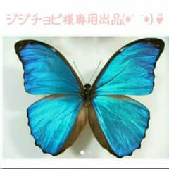 ジジチョビ様専用出品(*ˊ˘ˋ*)♪のサムネイル