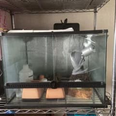 爬虫類飼育セット＋オマケ　※直接引き取り推奨！！のサムネイル