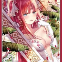 ぴらるーく ニ乃 スリーブのサムネイル