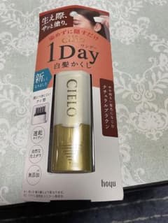 1day 白髪かくしのサムネイル