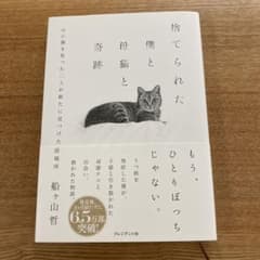 捨てられた僕と母猫と奇跡 : 心に傷を負った二人が新たに見つけた居場所のサムネイル