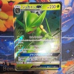 PSA10 ジュカインGX HR フェアリーライズ PSA10 ジュカインGX HR フェアリーライズ 【公式通販】