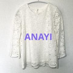 ANAYI アナイ　ホワイト総レースブラウス　トップス　プルオーバー　38 ANAYI アナイ ホワイト総レースブラウス トップス プルオーバー 38
