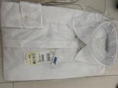 アオキ　ブラウス　長袖のサムネイル