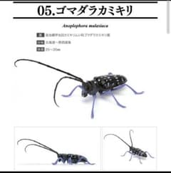 いきもの大図鑑 くわがた04 ゴマダラカミキリのサムネイル
