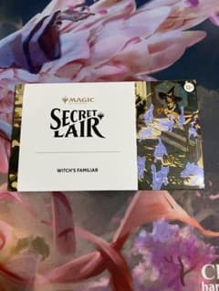 MTG Secret Lair WITCH'S FAMILIARのサムネイル