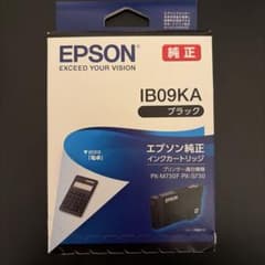 EPSON IB09KAのサムネイル