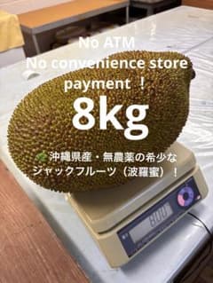 沖縄産ジャックフルーツ パラミツ 8kg 沖縄県産 無農薬ジャックフルーツ パラミツ 約8kg」 - メルカリ