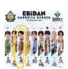 EBIDAN アンブレラマーカー Vol.2 キーホルダー髙田彪我のサムネイル