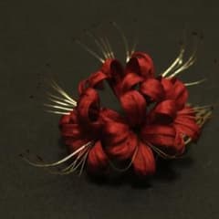 つまみ細工　髪飾り　彼岸花　赤のサムネイル