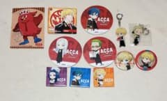 ACCA13구 감찰과 카페 상품 등 진 니노