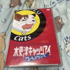 木更津キャッツアイ ワールドシリーズDVD2枚組 - メルカリ