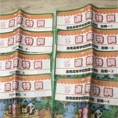 洛南高等学校附属小学校 直前特訓前期 プリント強化前期セットのサムネイル
