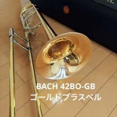 m73253228736_1.jpg?1774665521