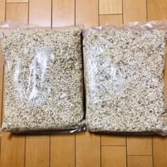 コーンリターのサムネイル