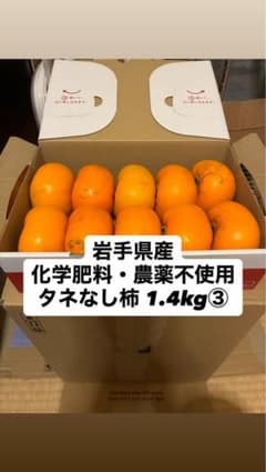【即購入可】今期最終11/3収穫 タネなし柿1.4kg③のサムネイル