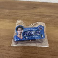 茨城ロボッツ 長谷川暢 選手 ネームバッジのサムネイル
