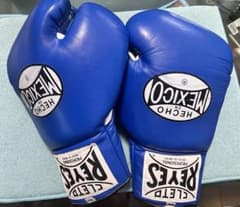 Reyes Boxing Gloves 8ozのサムネイル