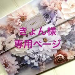 きょん様専用ページ✿155 蛇腹ファイル 大きいサイズ コラージュ素材収納のサムネイル