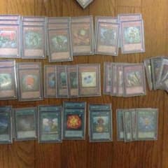 遊戯王 森羅デッキのサムネイル