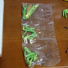 昆虫の森G オオカマキリのサムネイル