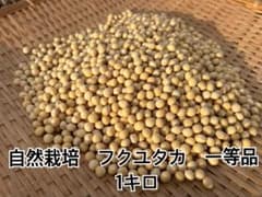 自然栽培大豆 フクユタカ 一等品 1キロのサムネイル