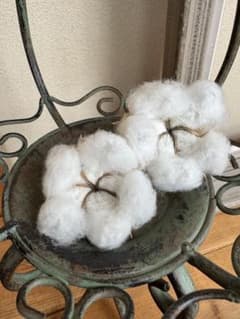お花のような 綿花 コットンフラワー 20個のサムネイル