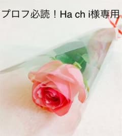 プロフ必読！h a c h i様のサムネイル