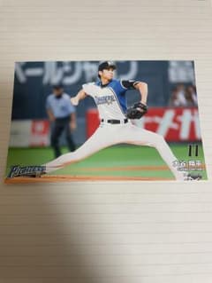 大谷翔平 北海道日本ハムファイターズ ハイライトフォト - メルカリ